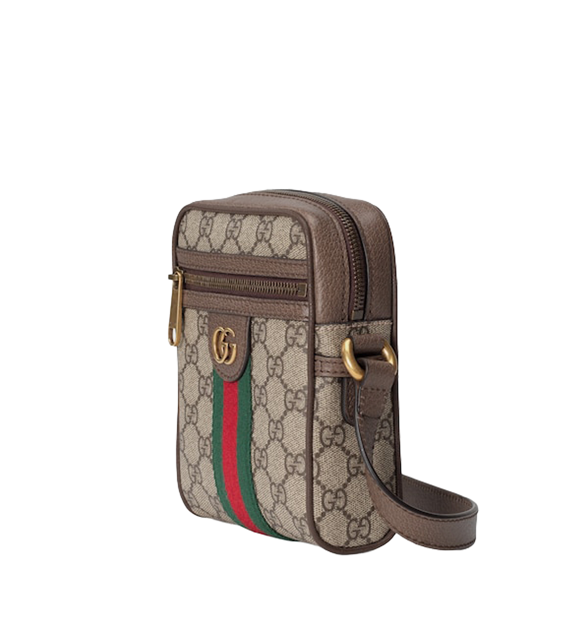 GG Bag