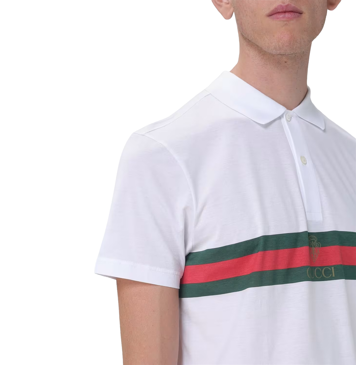 Cotton jersey polo shirt with Web